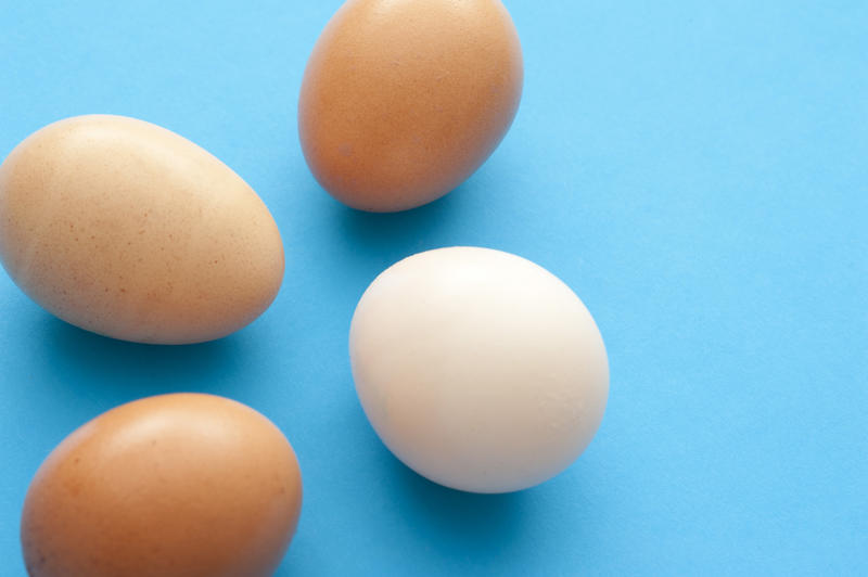 Four fresh raw hens eggs on a blue background with copy space, three brown and one white, ready to be used in cooking, baking or for breakfast