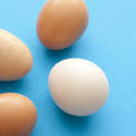 13036   Four fresh raw hens eggs on blue