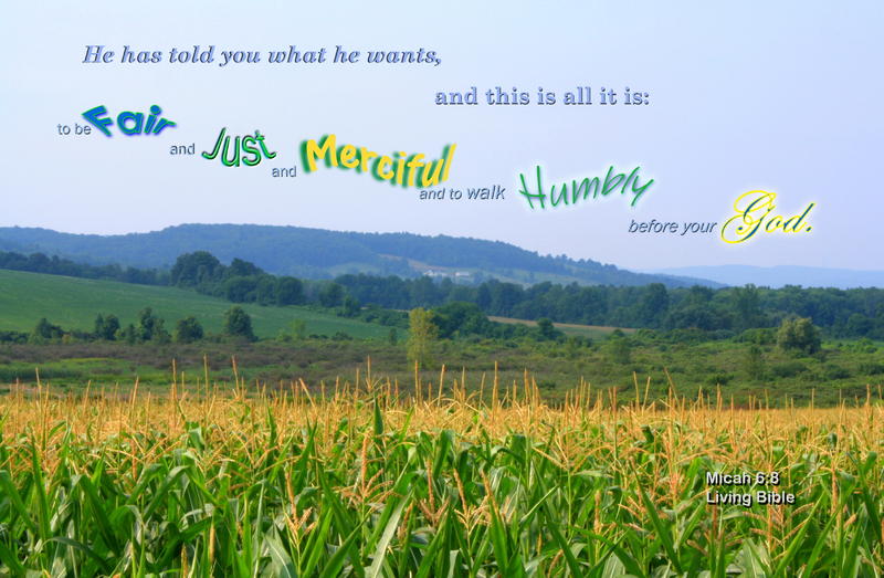 <p>Cornfield with hills in the background</p>
Cornfield with hills in the background
