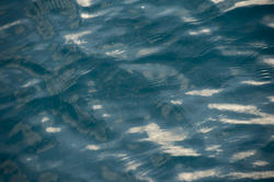 12665   Rippling water abstract background texture