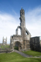12798   Old historical remains of Saint Andrews Cathedral