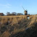 12584   windmill 2