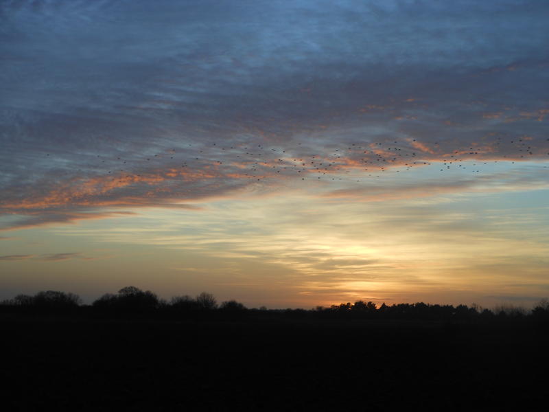 <p>Norfolk UK February sunset</p>
