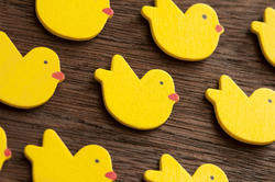 13491   Yellow wooden Easter chicks