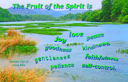 17554   The Fruit of the Spirit