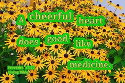 17571   Cheerful Heart Like Medicine