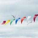17801   Brightly colored bunting flying in the wind
