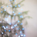 17708   defocused blue christmas lights