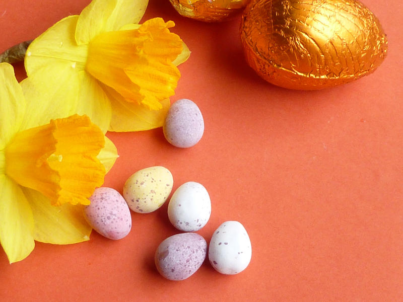 Mini sugar-coated Easter eggs with daffodils and a foil wrapped chocolate egg on an orange background with copy space for a holiday message
