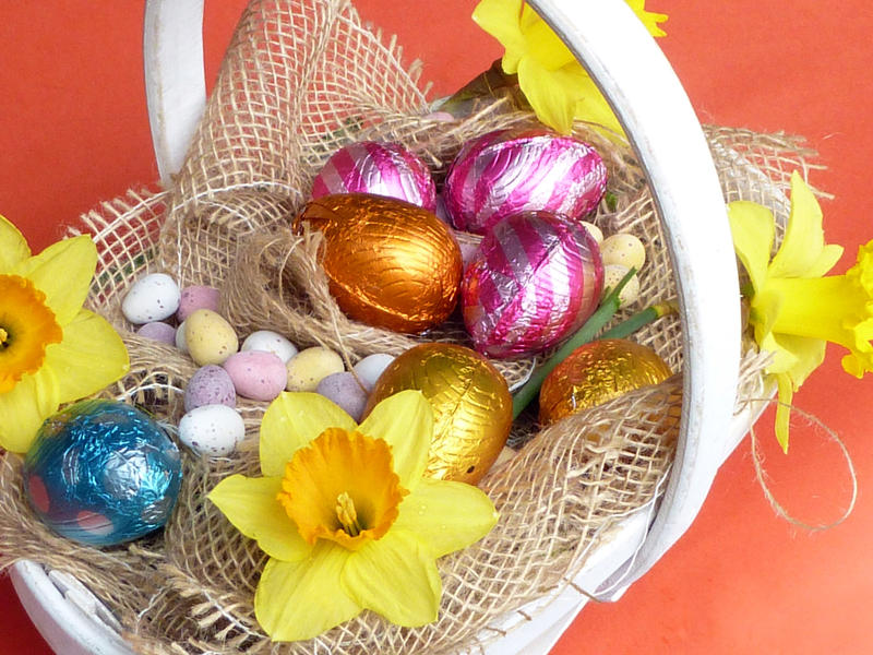 Festive Easter decoration with chocolate eggs in colorful foil and yellow daffodil flowers on sack cloth in white basket, viewed from high angle