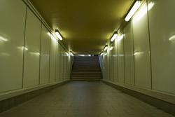17397   Empty illuminated subway tunnel with steps