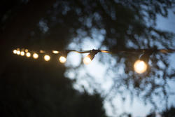 17786   string of outdoor lights