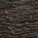 17776   Close up of rough old wood background texture