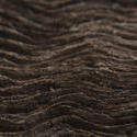 17778   Wavy tree bark texture
