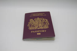17310   Passport for the UK and Northern Ireland