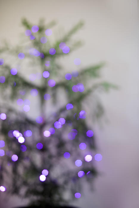 defocused purple fairly lights on a tree creating a festive glittering backdrop