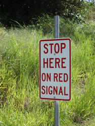 17826   Traffic sign   Stop Here On Red Signal