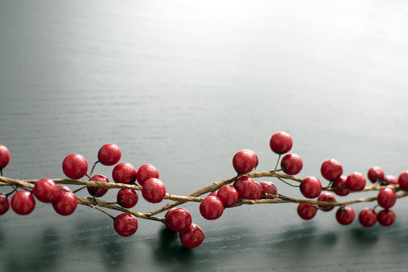 Close up view of small round red berries on vine lying atop black table with wood grain. Copy space.