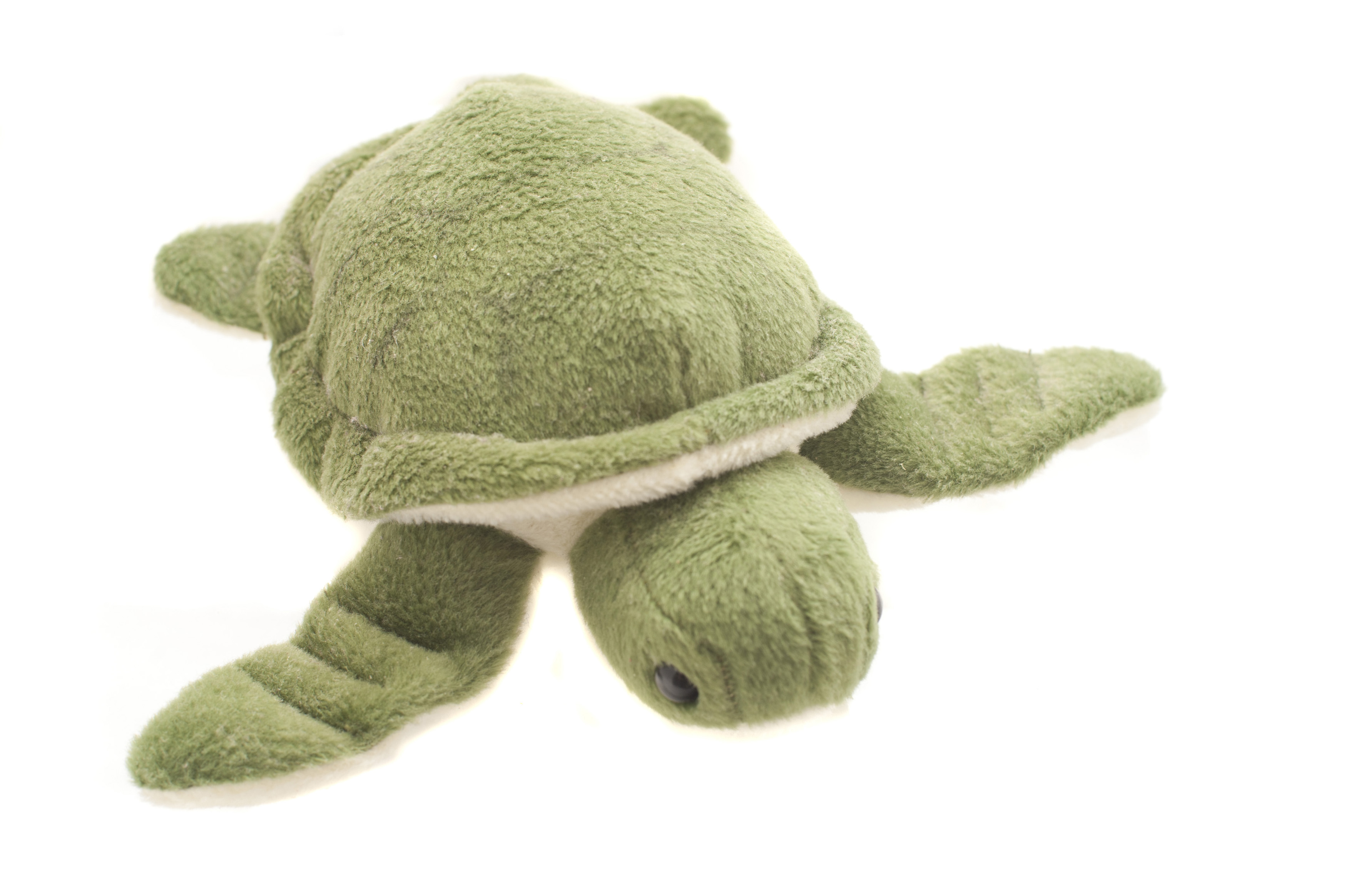 cute stuffed turtles